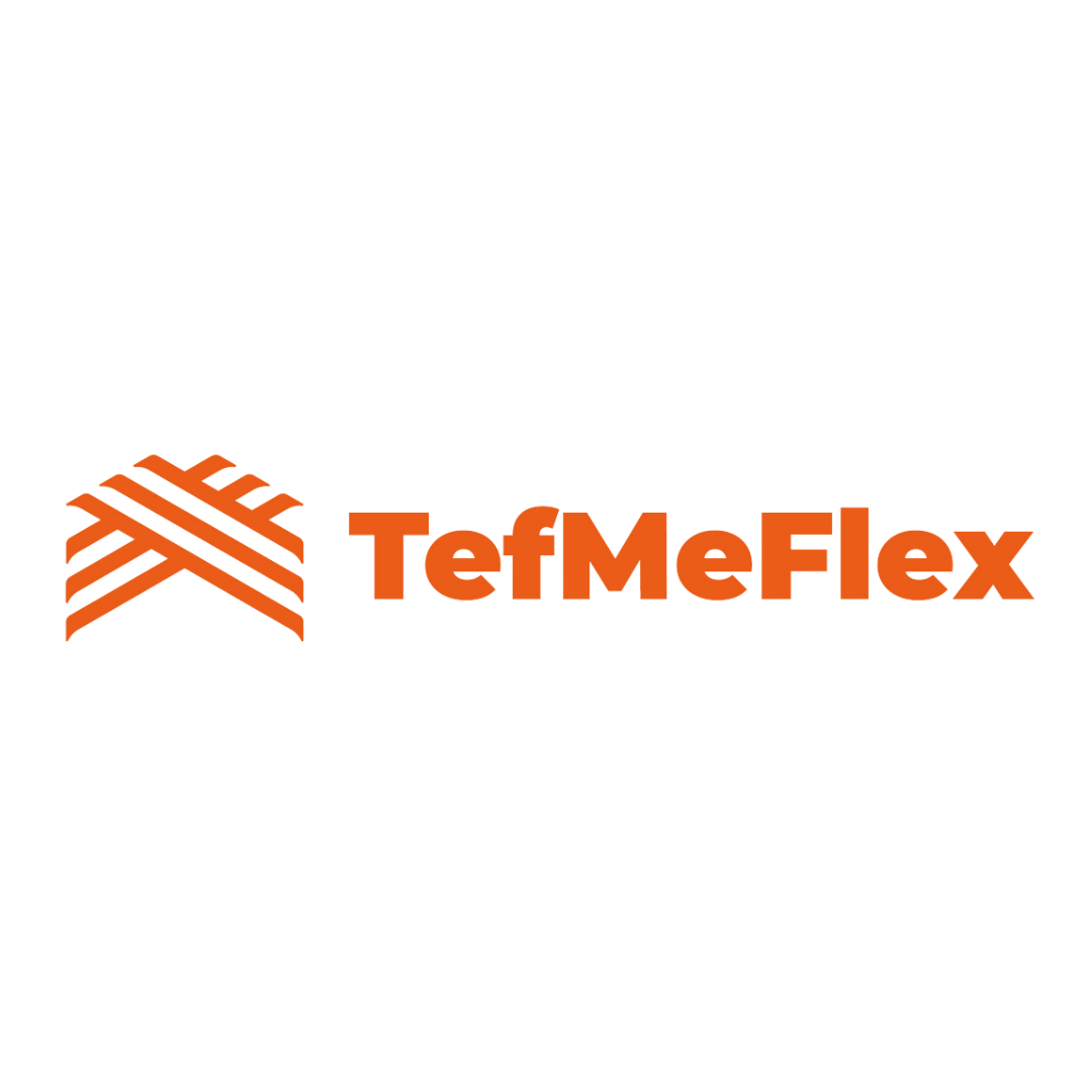 TefMeFlex GmbH Logo
